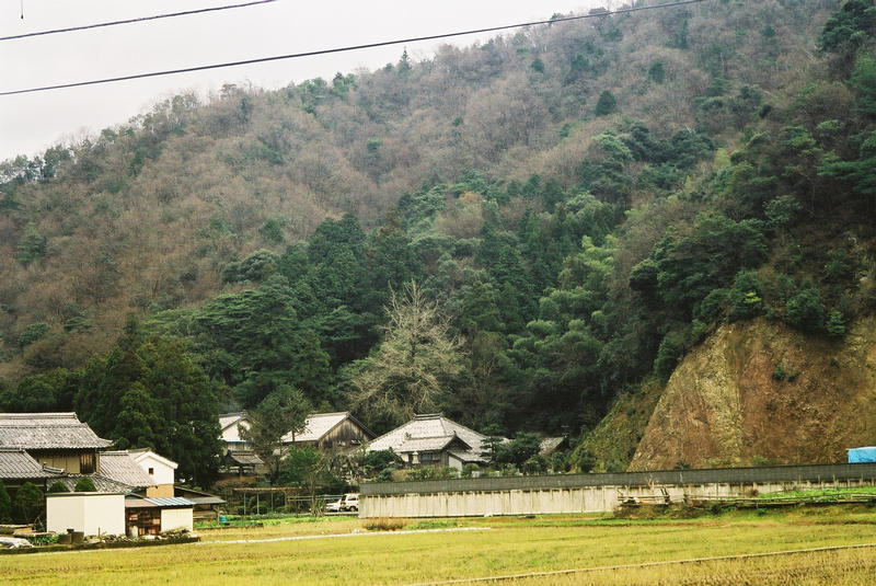 Temple neighbourhood