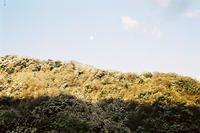 Moon over Bukkokuji