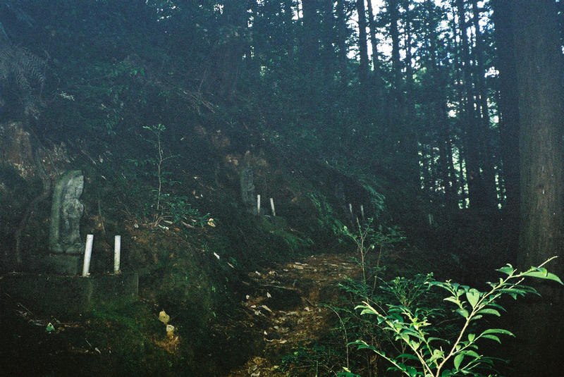 Path of stone Buddhas